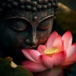 meditazione-giornaliera