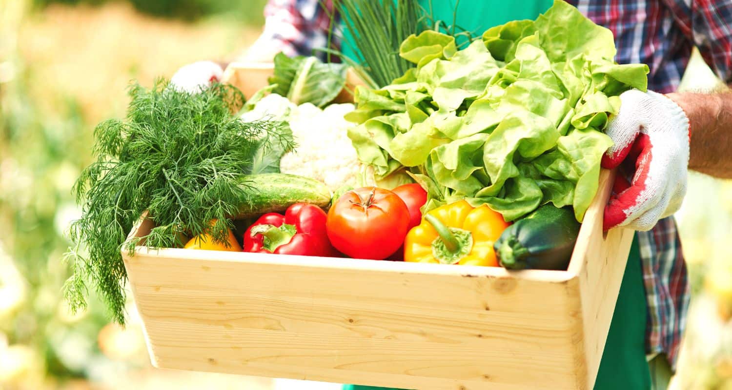 Risvegliare il metabolismo