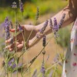 5 Incredibili proprietà della lavanda che forse non conoscevi proprietà-della-lavanda