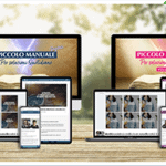 Piccolo Manuale Combo