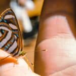 La Tua Storia Di Vita Può Cambiare Il Mondo: Parola Di Lisa Nichols [Contiene 11 Citazioni]