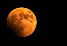 Fase lunare: sfrutta il potere della luna piena per realizzare i tuoi desideri Fase lunare: sfrutta il potere della luna piena per realizzare i tuoi desideri