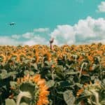 6 Modi per Creare (Letteralmente) la Vita che Sogni da Sempre