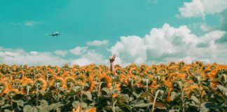 6 Modi per Creare (Letteralmente) la Vita che Sogni da Sempre