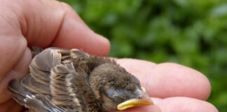 12 Modi in Cui Ti Stai Rovinando la Vita Senza Saperlo [E Come Rimediare Subito]