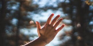 5 Buoni Motivi Per Cui Non Devi Avere Sempre Ragione [Con Alberto Simone]