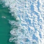 Le Più Belle Frasi di Deepak Chopra per Riscoprire Te Stesso natura