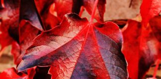 Lascia Andare Il Bisogno Di Resistere Al Cambiamento