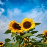 9 Benefici della Meditazione dopo Un Solo Minuto liberta