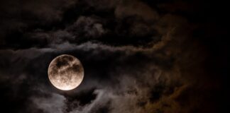 Luna Nuova: Tutti i Segreti per Armonizzare la Tua Vita con le Fasi Lunari