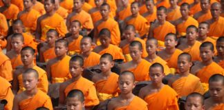 Imparare a Meditare Come un Fiore che Si Apre in Primavera