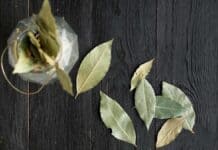 7 modi creativi per sfruttare le foglie di alloro nella tua cucina 7 modi creativi per sfruttare le foglie di alloro nella tua cucina