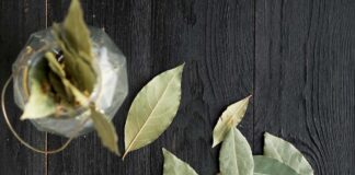 7 modi creativi per sfruttare le foglie di alloro nella tua cucina 7 modi creativi per sfruttare le foglie di alloro nella tua cucina