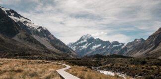 Il Video Più Importante Che Vedrai Oggi