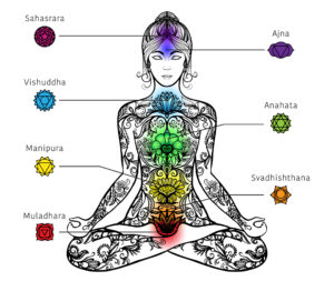 Distribuzione dei chakra lungo la colonna vertebrale