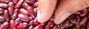 Allergia al nichel: alimenti da evitare