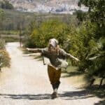 L’arte giapponese di lasciar andare: Shikata ga nai e la saggezza antica L'arte giapponese di lasciar andare: Shikata ga nai e la saggezza antica