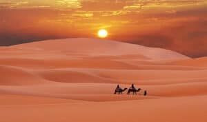 Paulo Coelho- aforismi e vita