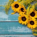 Scegli tra questi 20 fiori gialli: il giardino dei tuoi sogni ti aspetta Scegli tra questi 20 fiori gialli: il giardino dei tuoi sogni ti aspetta