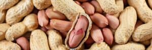 Benefici delle Arachidi