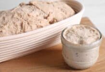 Lievito madre: ricetta dettagliata e consigli utili per farlo a casa Lievito madre: ricetta dettagliata e consigli utili per farlo a casa