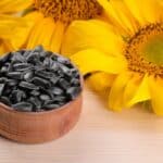 Semi di girasole: quando un cibo sano può diventare un rischio per la salute
