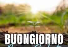 Frasi motivazionali: il buongiorno si vede dal mattino Frasi motivazionali sabato 26 aprile: il buongiorno si vede dal mattino