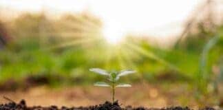 Frasi motivazionali: il buongiorno si vede dal mattino Frasi motivazionali sabato 26 aprile: il buongiorno si vede dal mattino