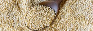 quinoa cosa è