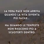 17857877613517525_omnama.it_