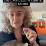 17909970768101889_omnama.it_