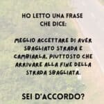 18115621051551226_omnama.it_