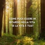 18535228459012050_omnama.it_