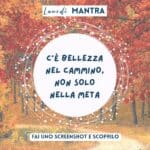 18305119015271623_omnama.it_